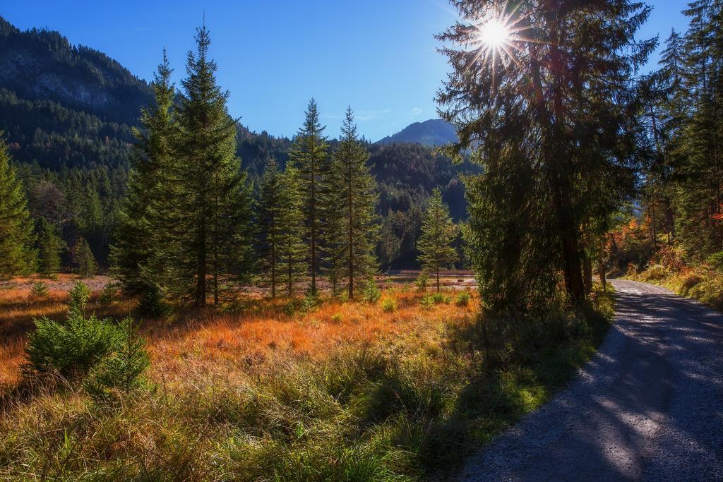 Burgchalet Reutte Rom bilde