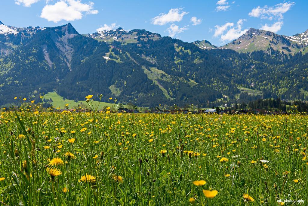 Burgchalet Reutte Rom bilde